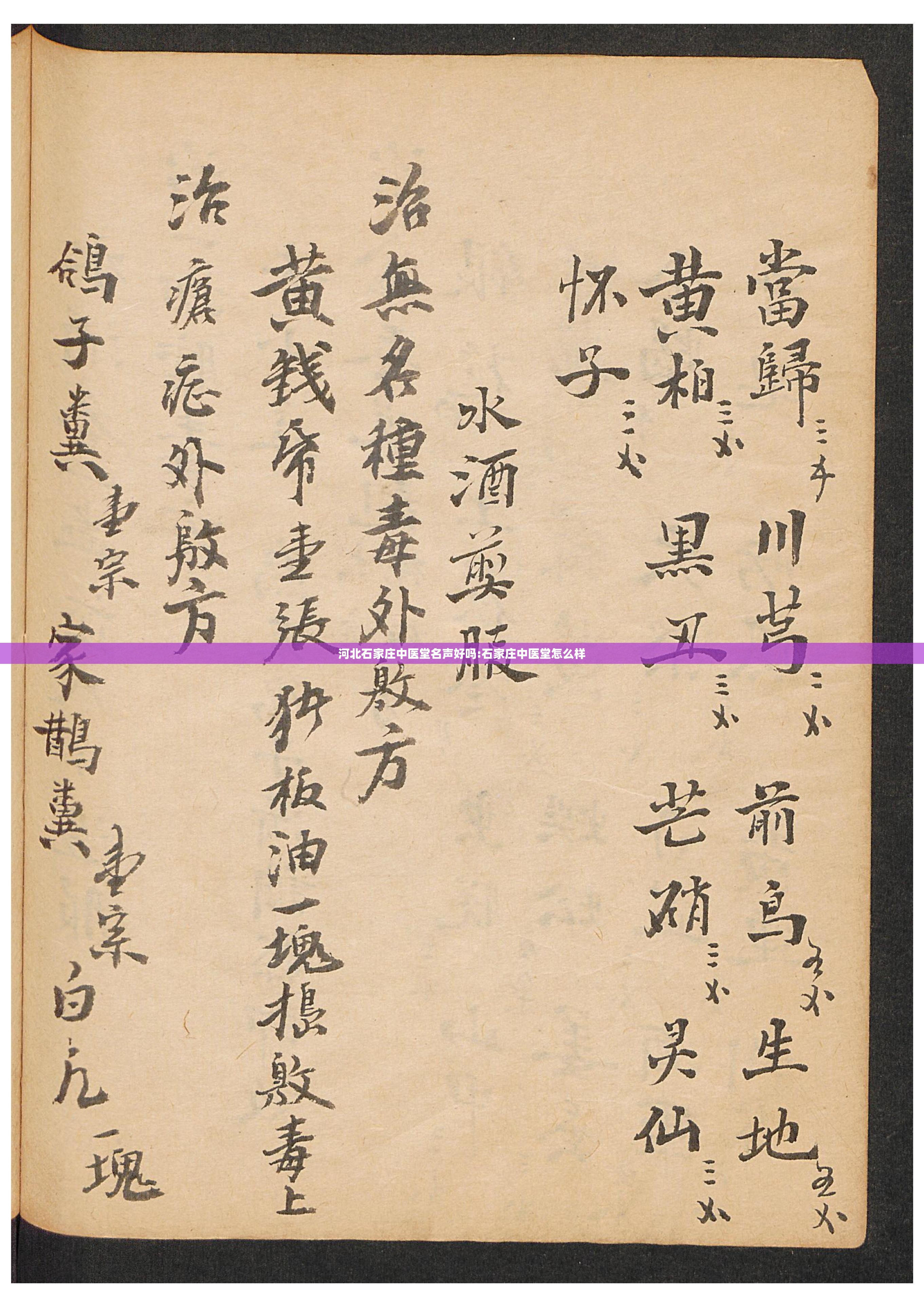 河北石家庄中医堂名声好吗:石家庄中医堂怎么样