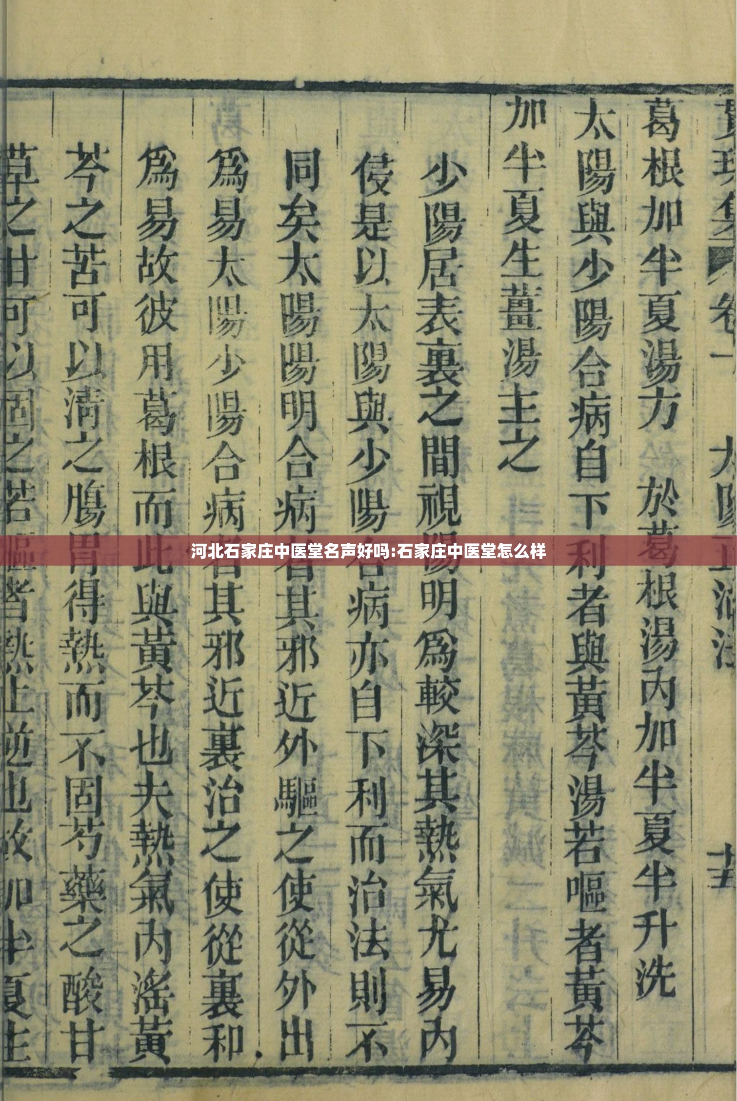 河北石家庄中医堂名声好吗:石家庄中医堂怎么样