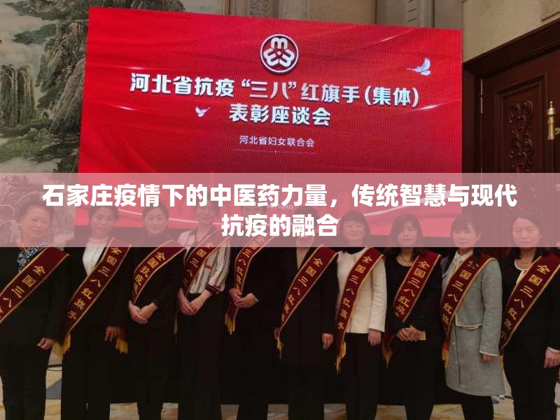 石家庄疫情下的中医药力量，传统智慧与现代抗疫的融合