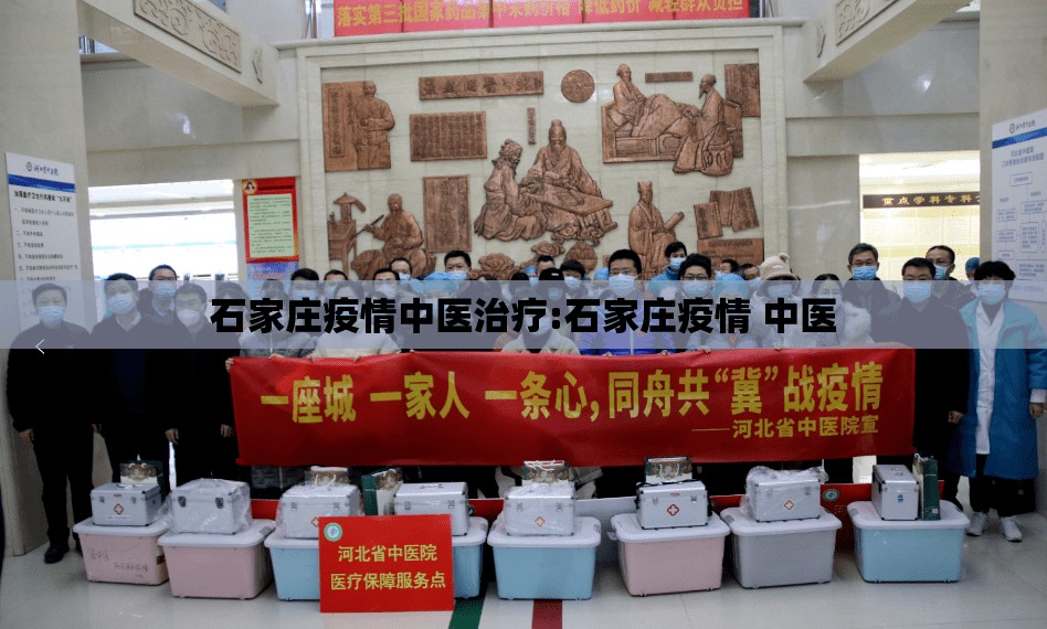 石家庄疫情中医治疗:石家庄疫情 中医