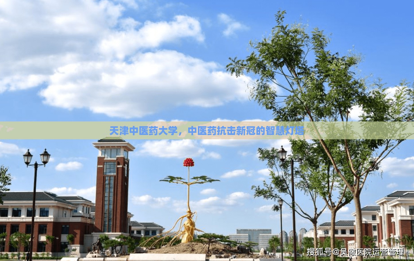 天津中医药大学，中医药抗击新冠的智慧灯塔