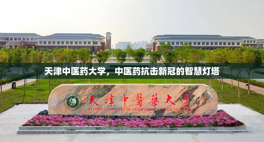 天津中医药大学，中医药抗击新冠的智慧灯塔