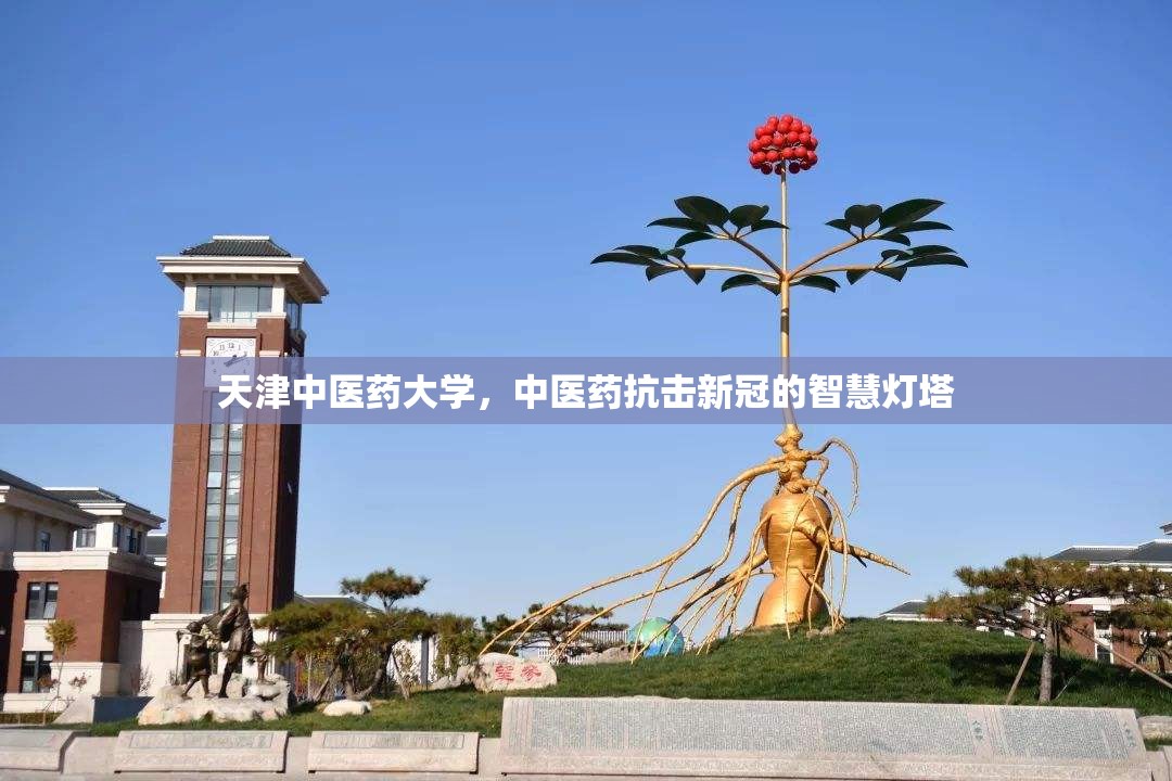天津中医药大学，中医药抗击新冠的智慧灯塔