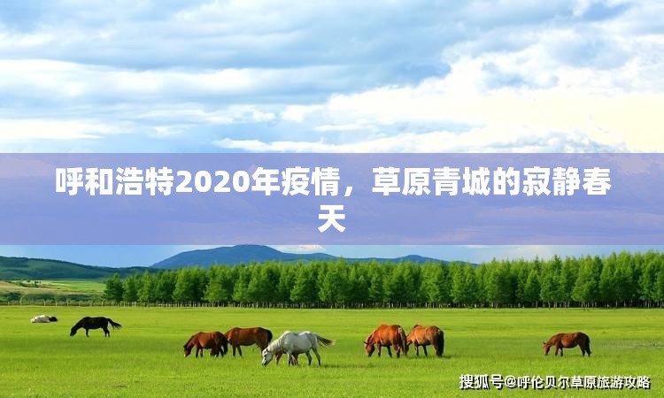 呼和浩特2020年疫情，草原青城的寂静春天
