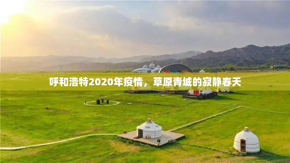 呼和浩特2020年疫情，草原青城的寂静春天