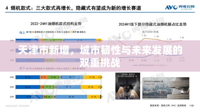 天津市新增，城市韧性与未来发展的双重挑战
