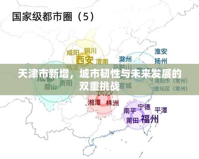天津市新增，城市韧性与未来发展的双重挑战