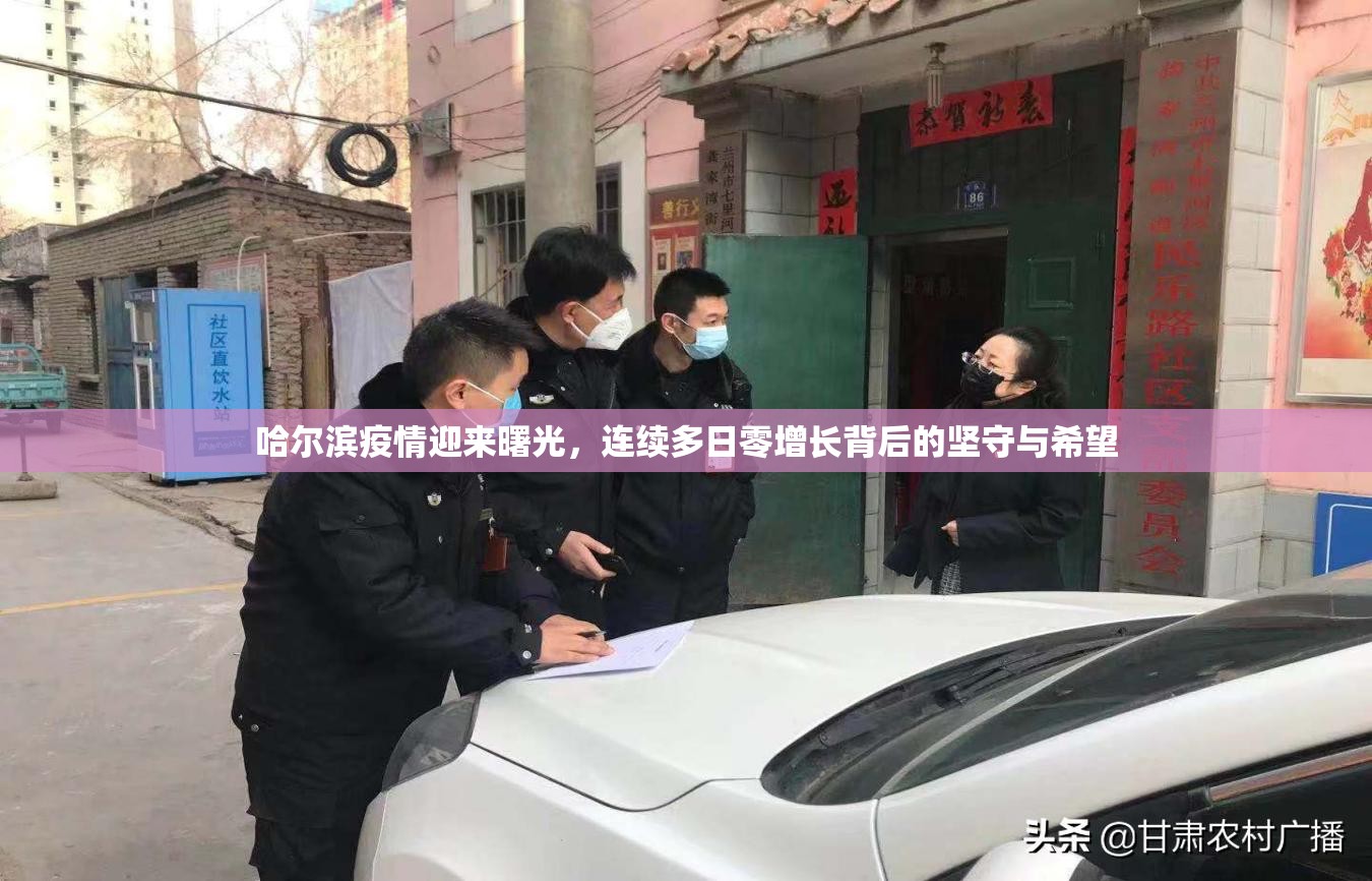 哈尔滨疫情迎来曙光，连续多日零增长背后的坚守与希望