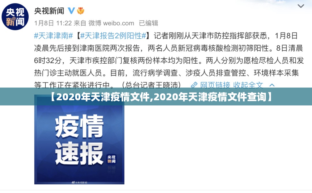 【2020年天津疫情文件,2020年天津疫情文件查询】