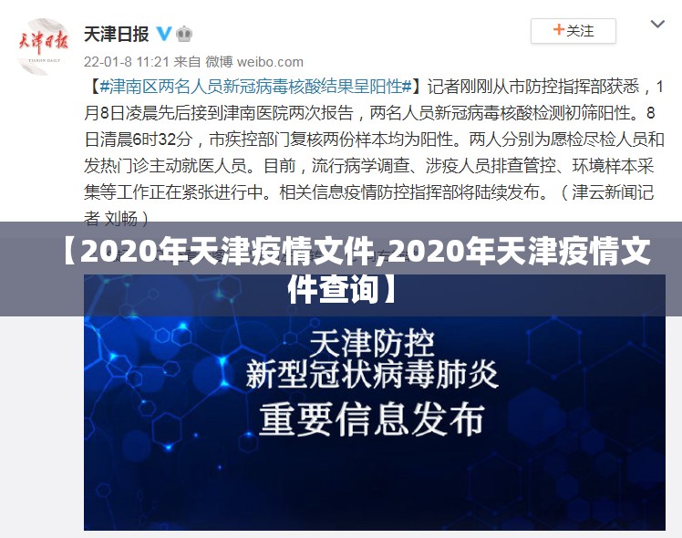 【2020年天津疫情文件,2020年天津疫情文件查询】
