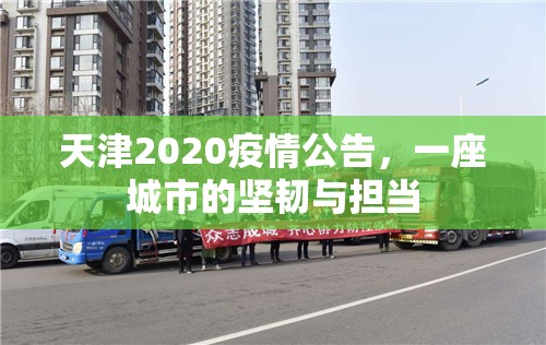 天津2020疫情公告，一座城市的坚韧与担当