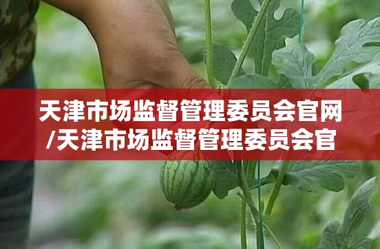 天津市场监督管理委员会官网/天津市场监督管理委员会官网入口
