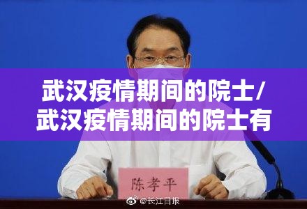 武汉疫情期间的院士/武汉疫情期间的院士有多少人