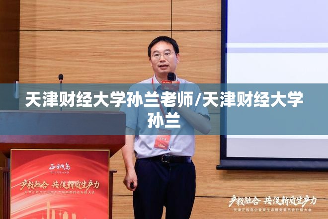 天津财经大学孙兰老师/天津财经大学孙兰