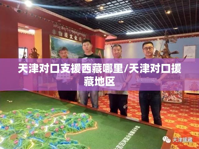 天津对口支援西藏哪里/天津对口援藏地区