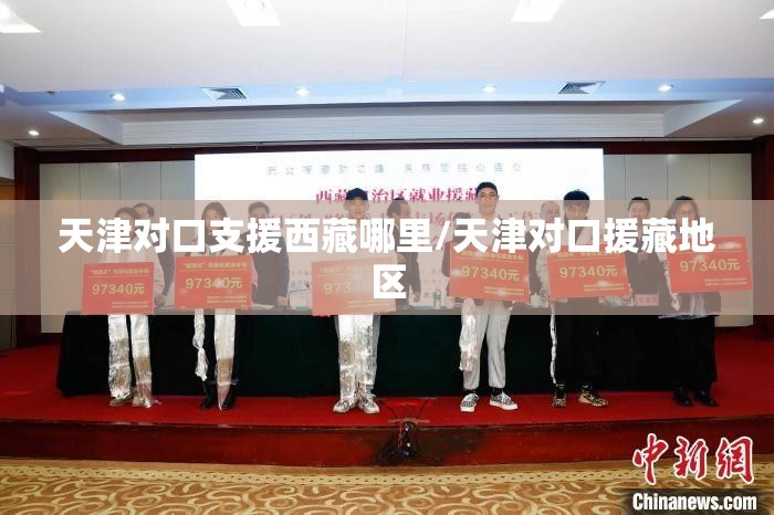 天津对口支援西藏哪里/天津对口援藏地区