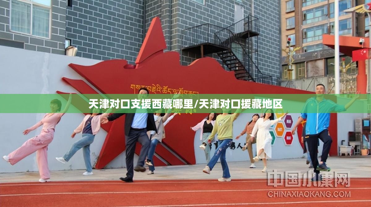 天津对口支援西藏哪里/天津对口援藏地区