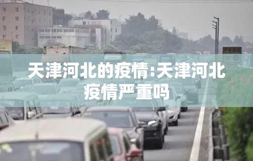 天津河北的疫情:天津河北疫情严重吗
