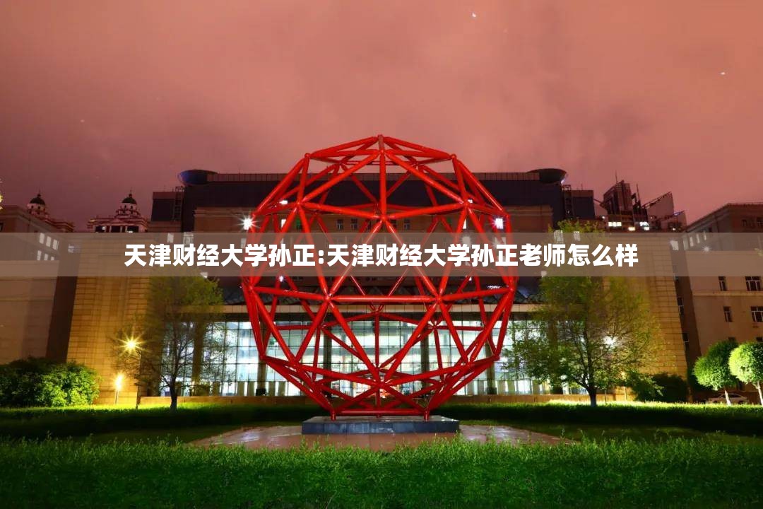 天津财经大学孙正:天津财经大学孙正老师怎么样