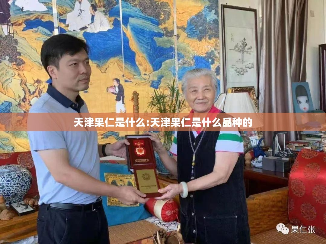 天津果仁是什么:天津果仁是什么品种的