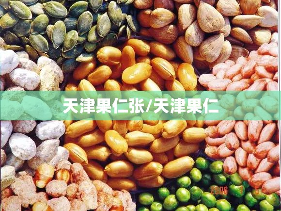 天津果仁张/天津果仁