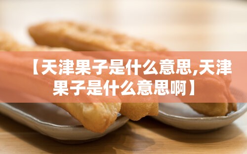 【天津果子是什么意思,天津果子是什么意思啊】