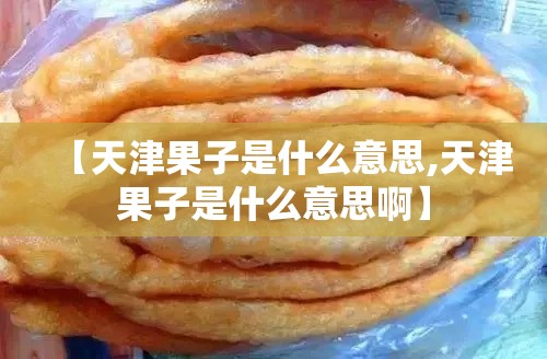 【天津果子是什么意思,天津果子是什么意思啊】