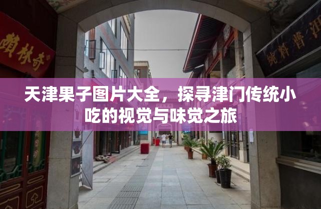天津果子图片大全，探寻津门传统小吃的视觉与味觉之旅