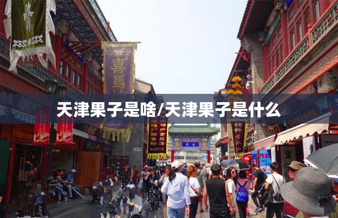 天津果子是啥/天津果子是什么