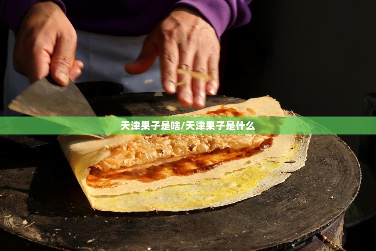天津果子是啥/天津果子是什么