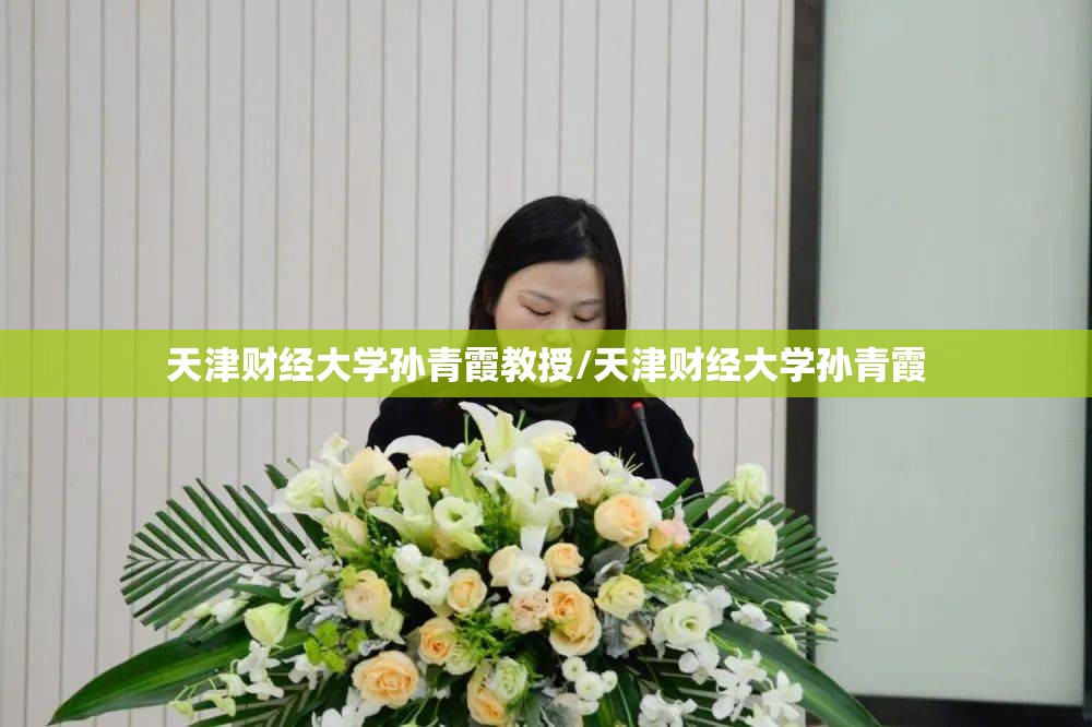 天津财经大学孙青霞教授/天津财经大学孙青霞
