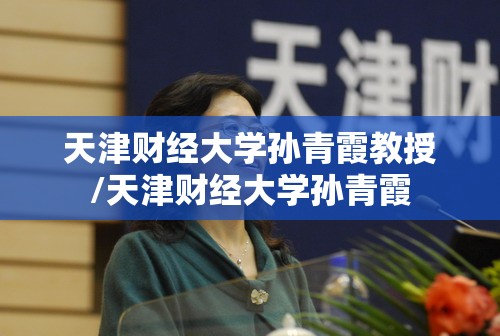 天津财经大学孙青霞教授/天津财经大学孙青霞