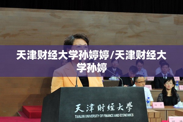 天津财经大学孙婷婷/天津财经大学孙婷
