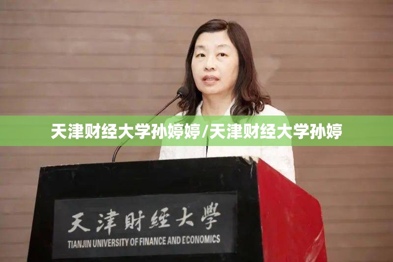 天津财经大学孙婷婷/天津财经大学孙婷