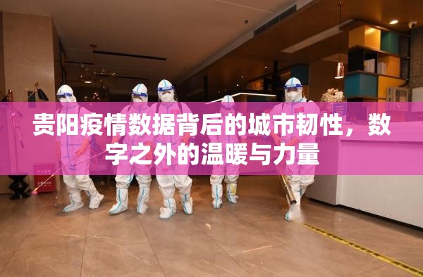 贵阳疫情数据背后的城市韧性，数字之外的温暖与力量