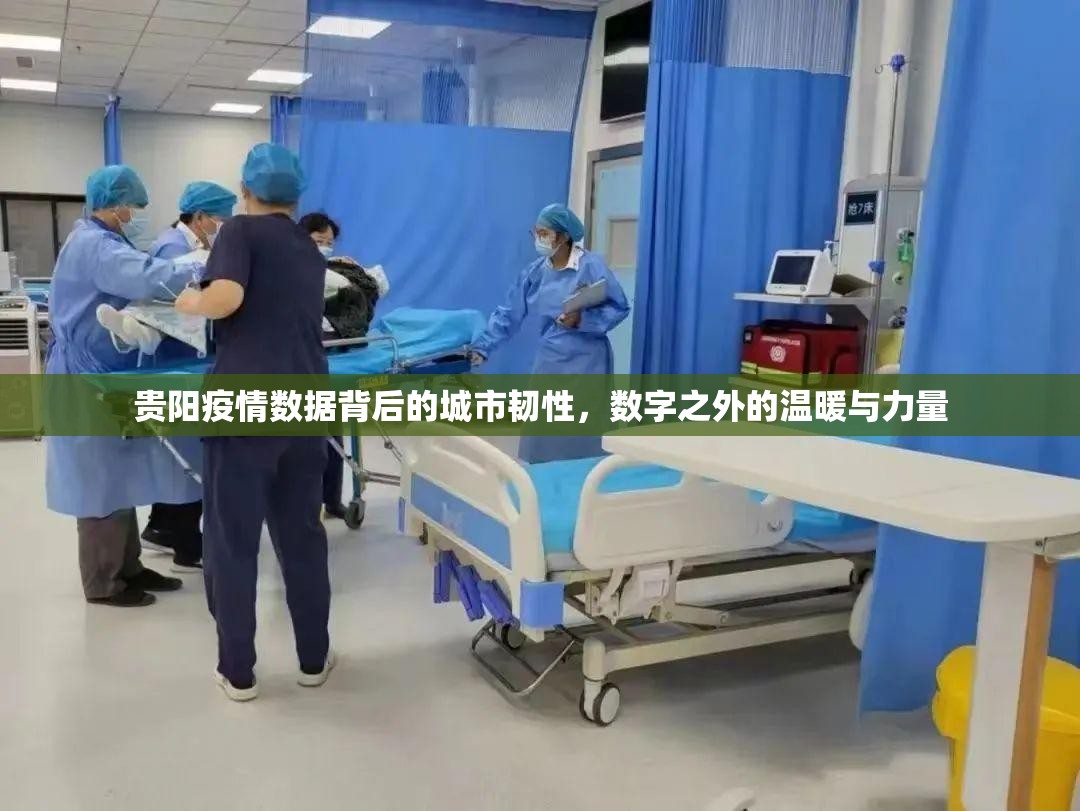 贵阳疫情数据背后的城市韧性，数字之外的温暖与力量