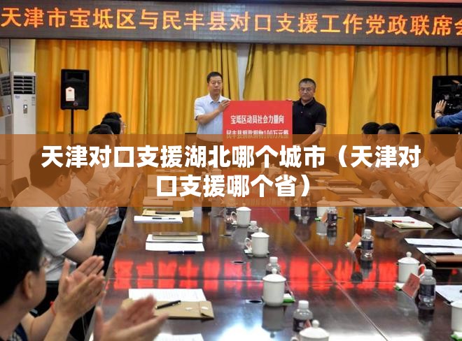 天津对口支援湖北哪个城市（天津对口支援哪个省）