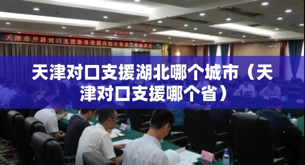 天津对口支援湖北哪个城市（天津对口支援哪个省）