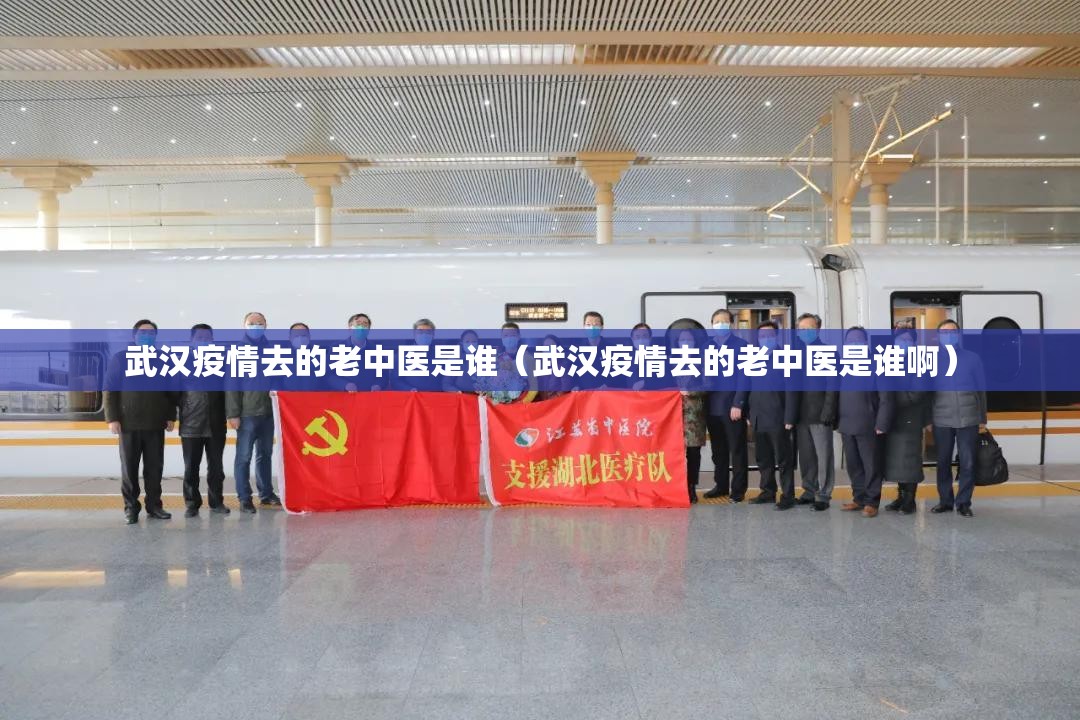 武汉疫情去的老中医是谁（武汉疫情去的老中医是谁啊）