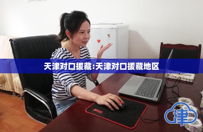 天津对口援藏:天津对口援藏地区