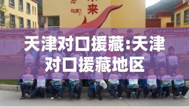 天津对口援藏:天津对口援藏地区