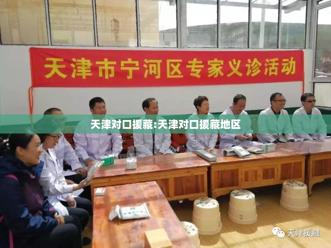 天津对口援藏:天津对口援藏地区