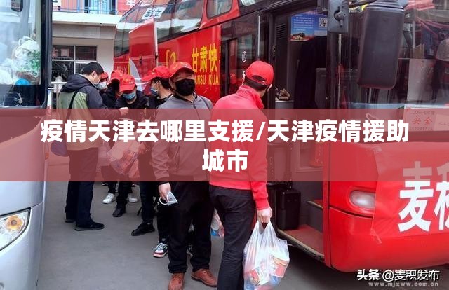 疫情天津去哪里支援/天津疫情援助城市