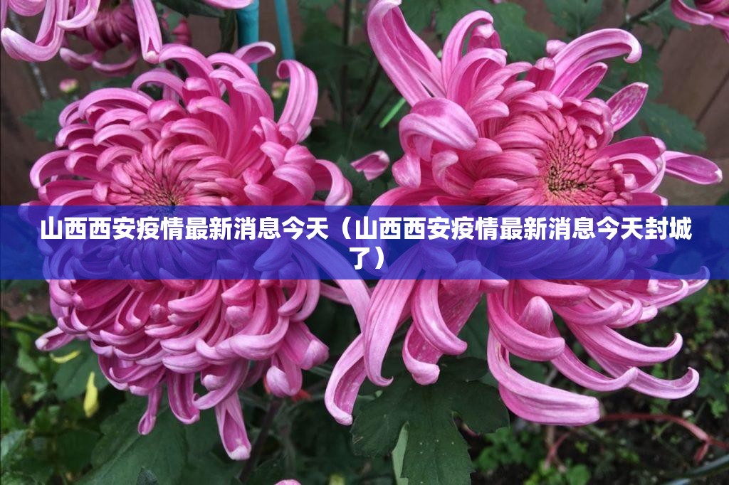 山西西安疫情最新消息今天（山西西安疫情最新消息今天封城了）