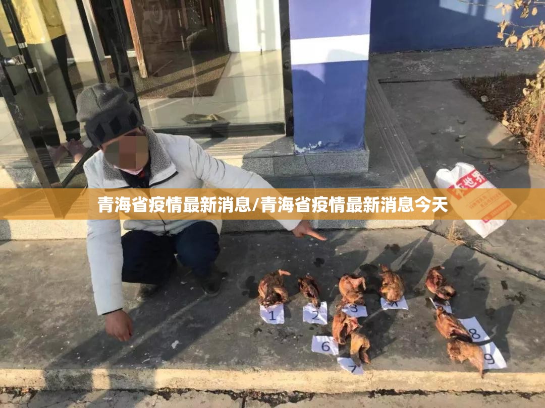 青海省疫情最新消息/青海省疫情最新消息今天