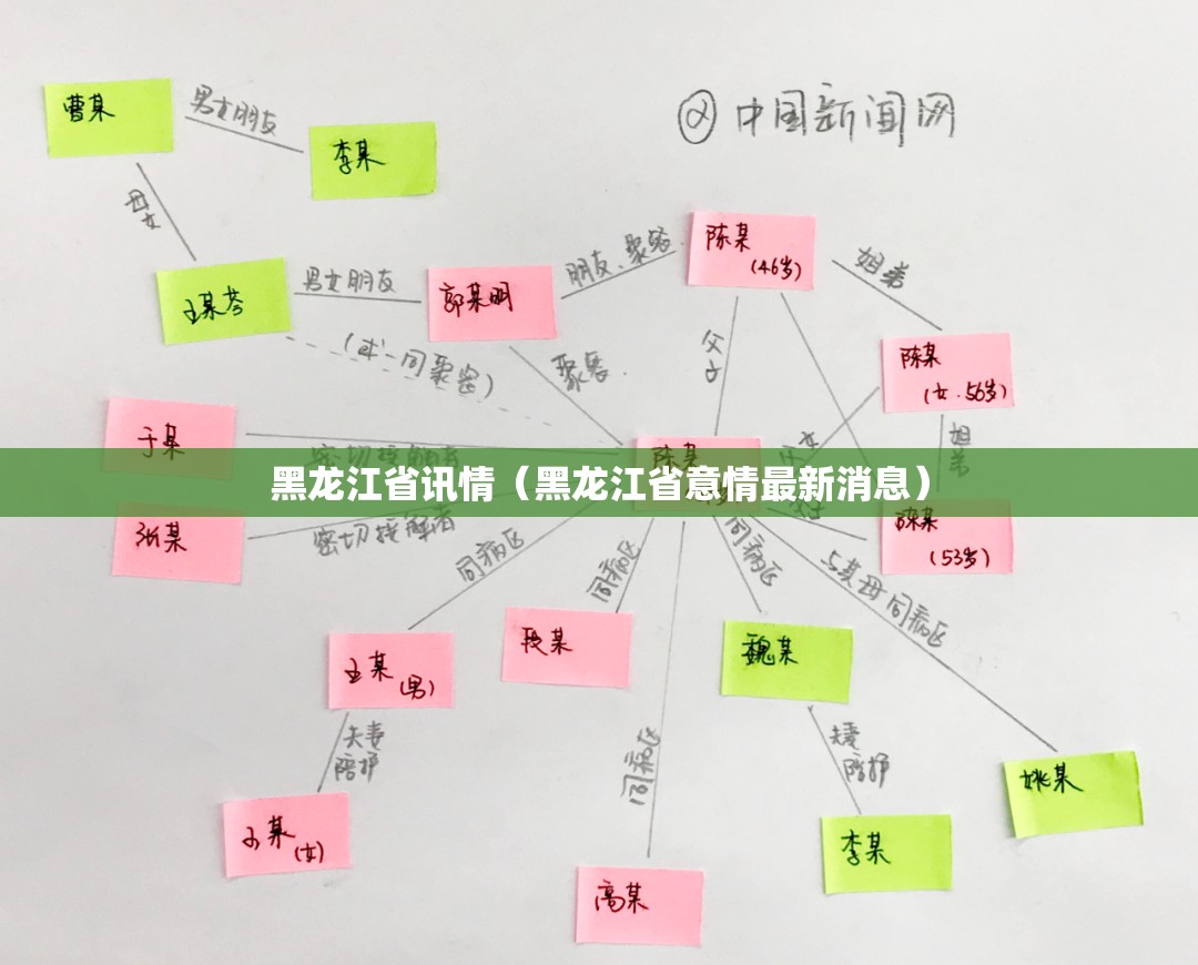 黑龙江省讯情（黑龙江省意情最新消息）