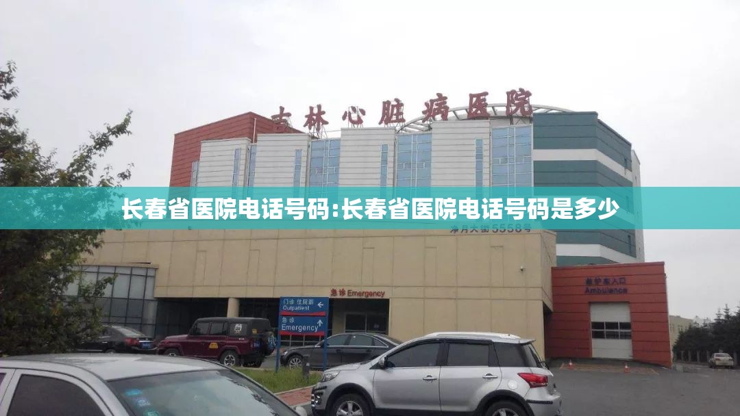 长春省医院电话号码:长春省医院电话号码是多少