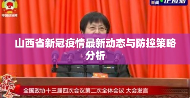 山西省新冠疫情最新动态与防控策略分析
