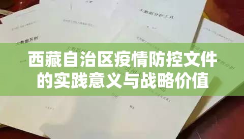 西藏自治区疫情防控文件的实践意义与战略价值