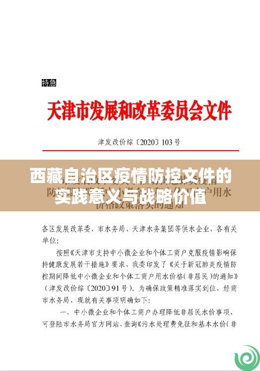 西藏自治区疫情防控文件的实践意义与战略价值